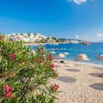 Best Road Trip Destinations 2024